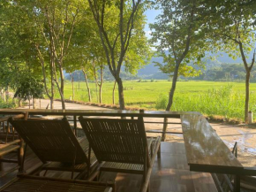 Truong Huy Homestay